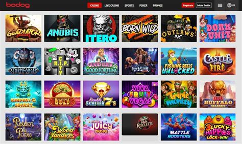 bodog slots